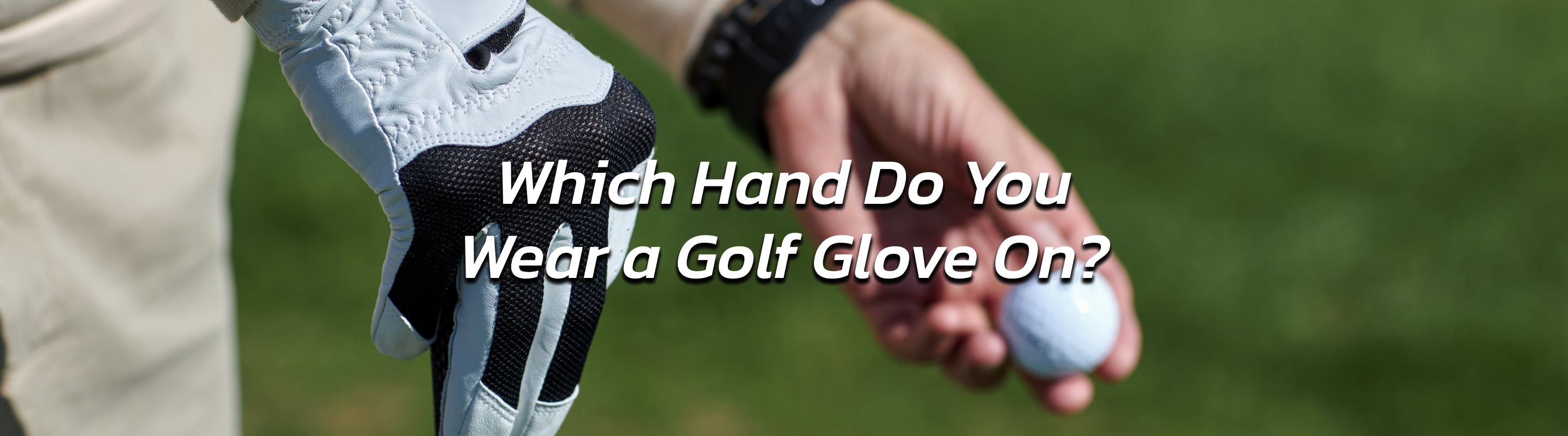 Golf Glove