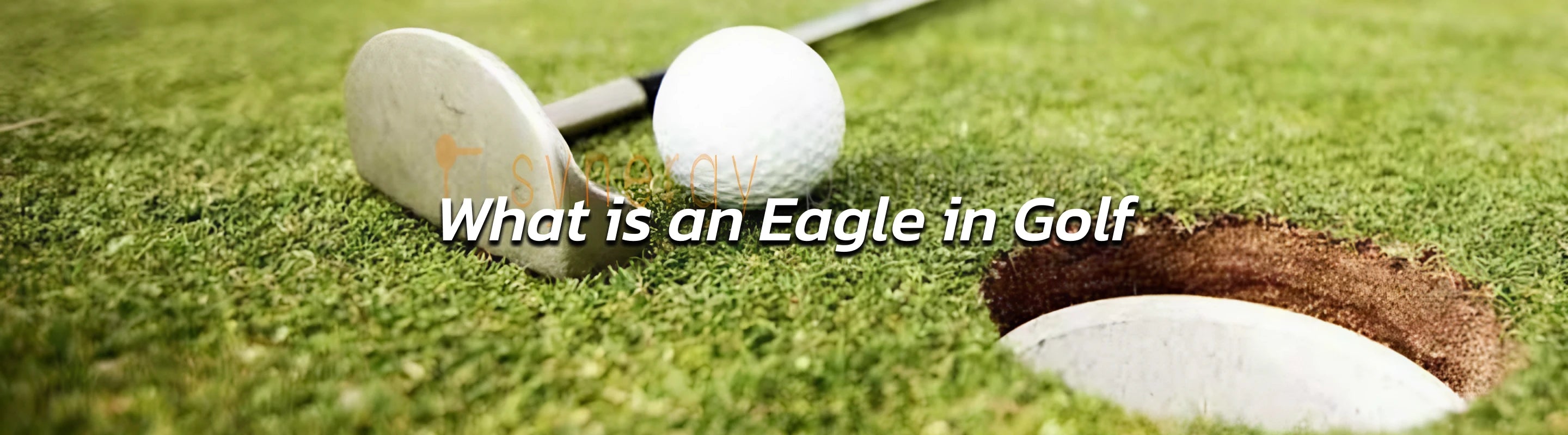 Golf Score